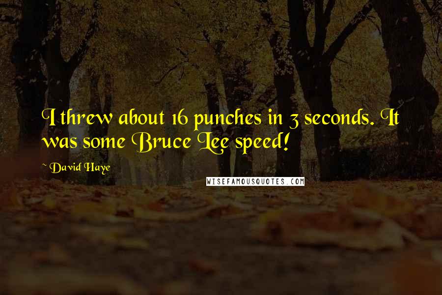 David Haye Quotes: I threw about 16 punches in 3 seconds. It was some Bruce Lee speed!