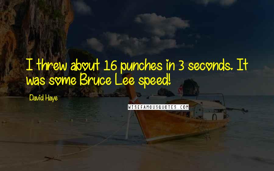 David Haye Quotes: I threw about 16 punches in 3 seconds. It was some Bruce Lee speed!