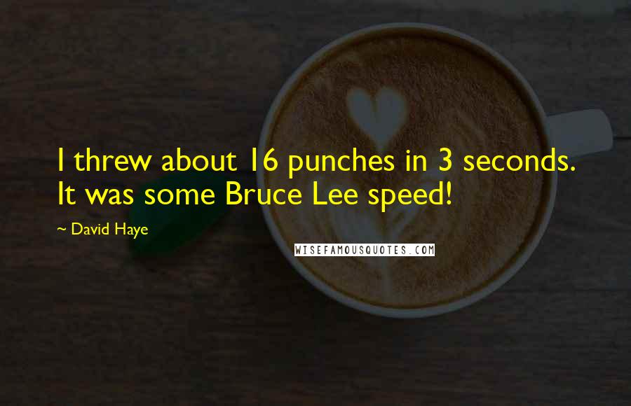 David Haye Quotes: I threw about 16 punches in 3 seconds. It was some Bruce Lee speed!