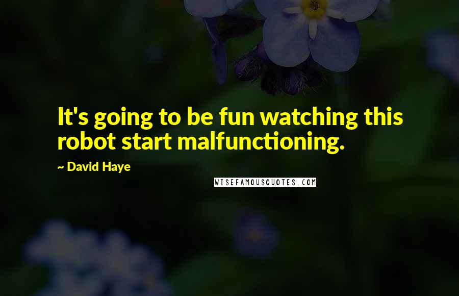 David Haye Quotes: It's going to be fun watching this robot start malfunctioning.