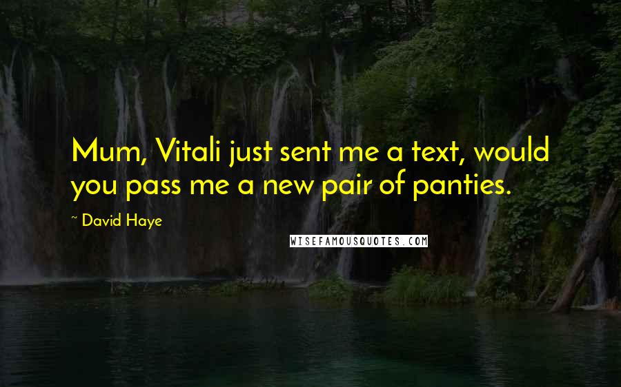 David Haye Quotes: Mum, Vitali just sent me a text, would you pass me a new pair of panties.
