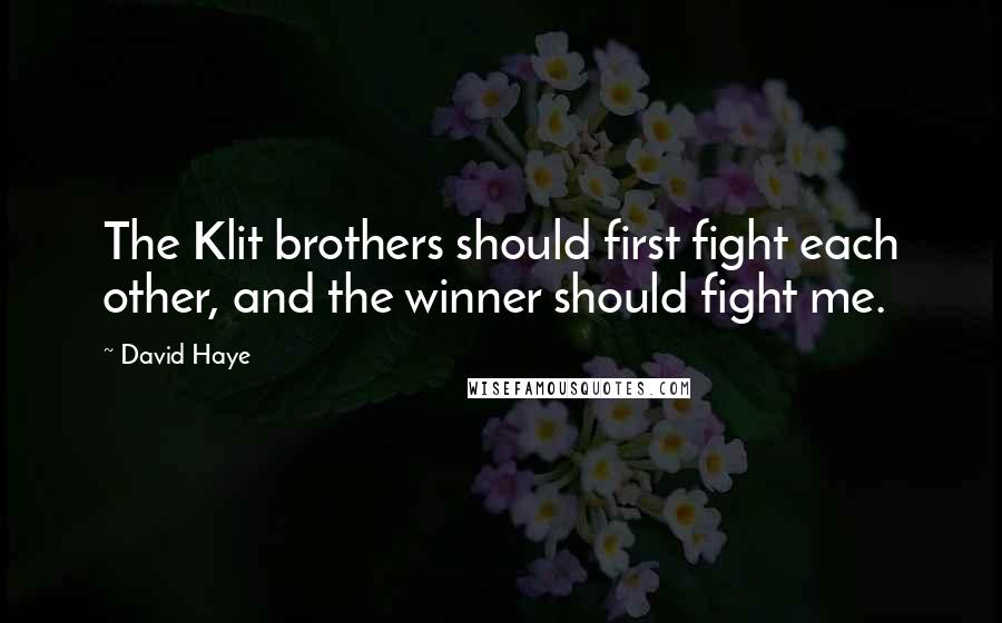 David Haye Quotes: The Klit brothers should first fight each other, and the winner should fight me.