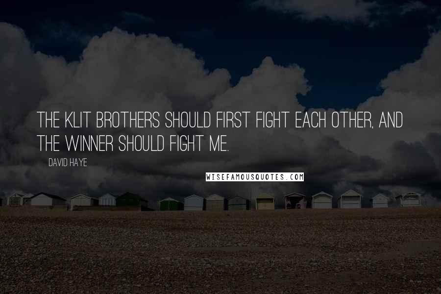 David Haye Quotes: The Klit brothers should first fight each other, and the winner should fight me.