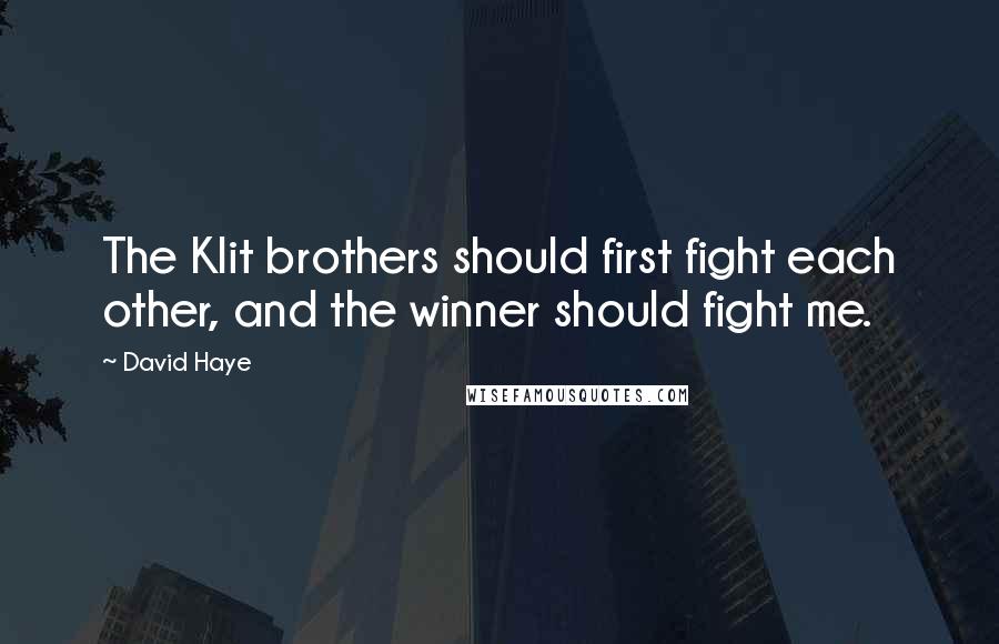 David Haye Quotes: The Klit brothers should first fight each other, and the winner should fight me.