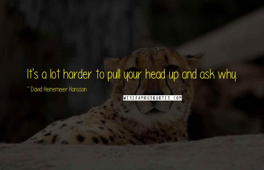 David Heinemeier Hansson Quotes: It's a lot harder to pull your head up and ask why.