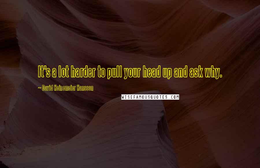 David Heinemeier Hansson Quotes: It's a lot harder to pull your head up and ask why.