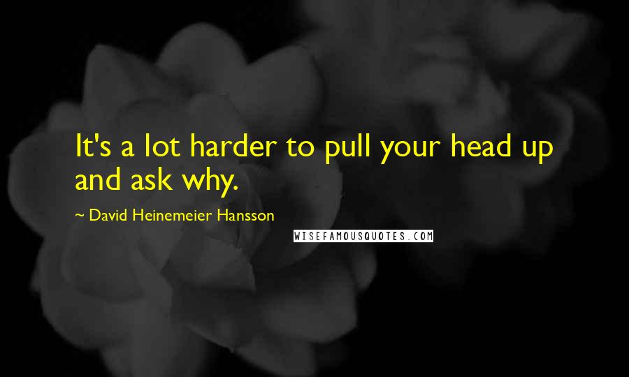 David Heinemeier Hansson Quotes: It's a lot harder to pull your head up and ask why.