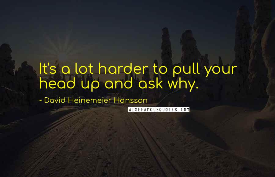 David Heinemeier Hansson Quotes: It's a lot harder to pull your head up and ask why.