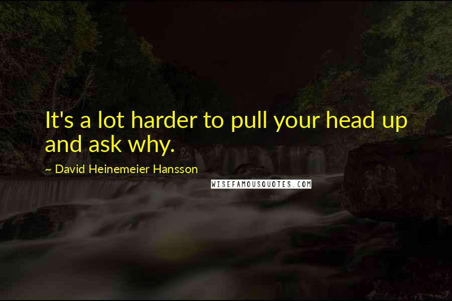 David Heinemeier Hansson Quotes: It's a lot harder to pull your head up and ask why.