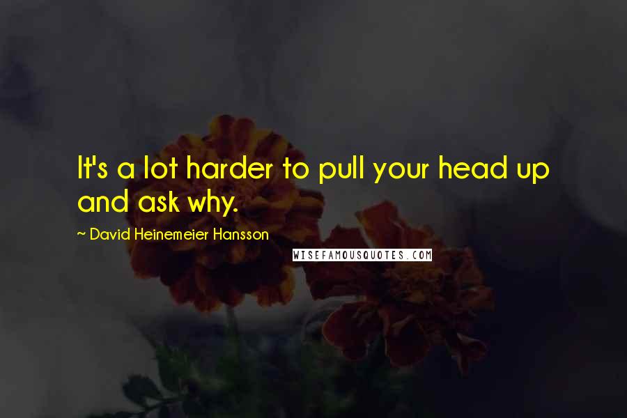 David Heinemeier Hansson Quotes: It's a lot harder to pull your head up and ask why.