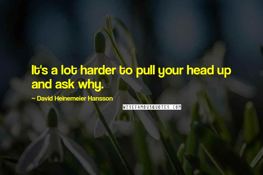 David Heinemeier Hansson Quotes: It's a lot harder to pull your head up and ask why.