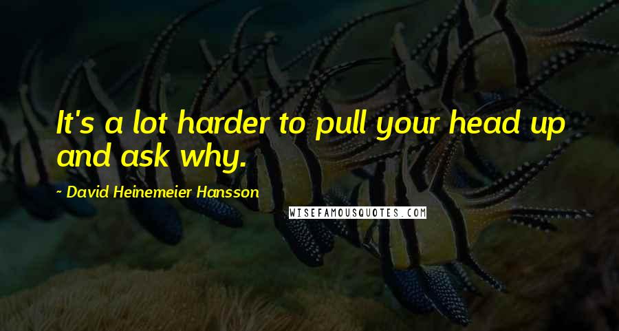 David Heinemeier Hansson Quotes: It's a lot harder to pull your head up and ask why.