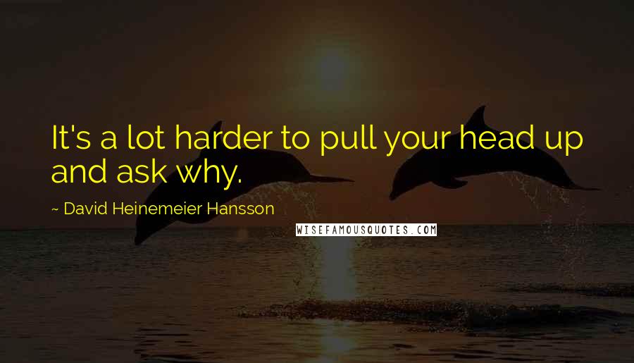 David Heinemeier Hansson Quotes: It's a lot harder to pull your head up and ask why.