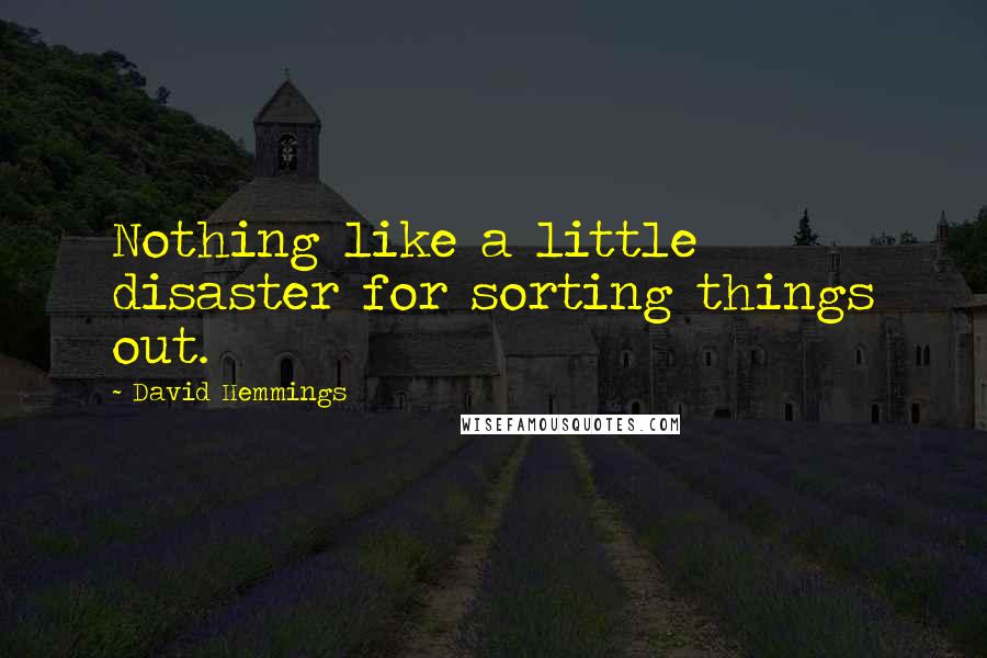 David Hemmings Quotes: Nothing like a little disaster for sorting things out.