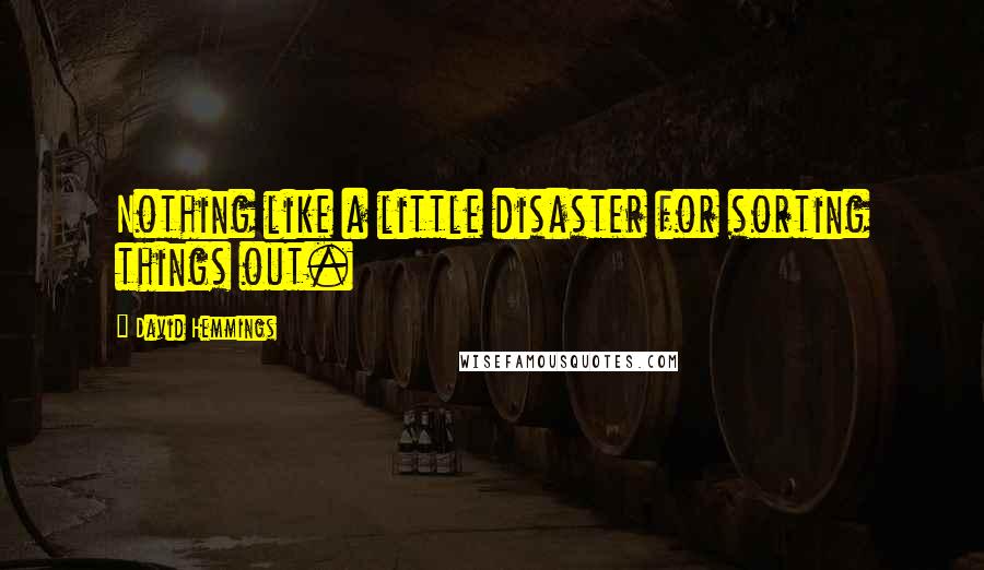 David Hemmings Quotes: Nothing like a little disaster for sorting things out.