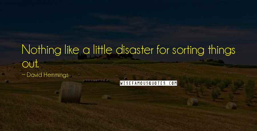 David Hemmings Quotes: Nothing like a little disaster for sorting things out.