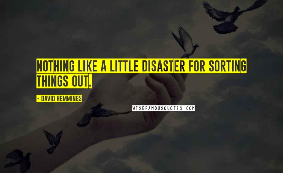 David Hemmings Quotes: Nothing like a little disaster for sorting things out.