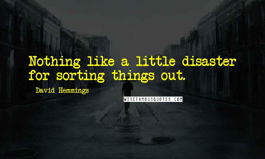 David Hemmings Quotes: Nothing like a little disaster for sorting things out.