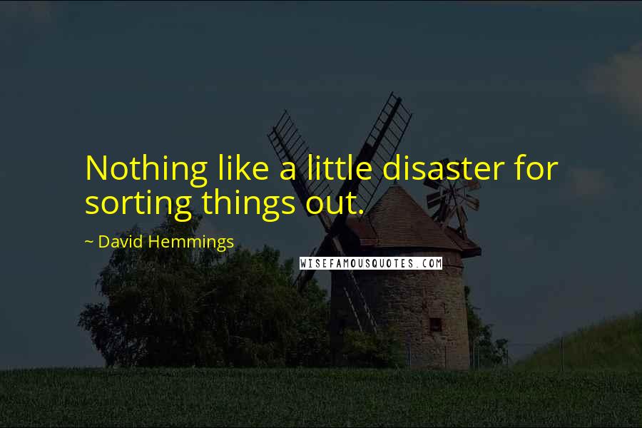 David Hemmings Quotes: Nothing like a little disaster for sorting things out.