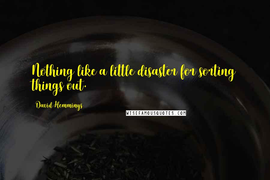 David Hemmings Quotes: Nothing like a little disaster for sorting things out.