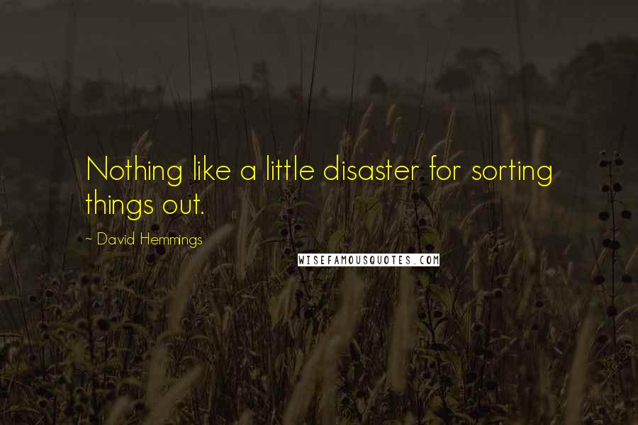 David Hemmings Quotes: Nothing like a little disaster for sorting things out.