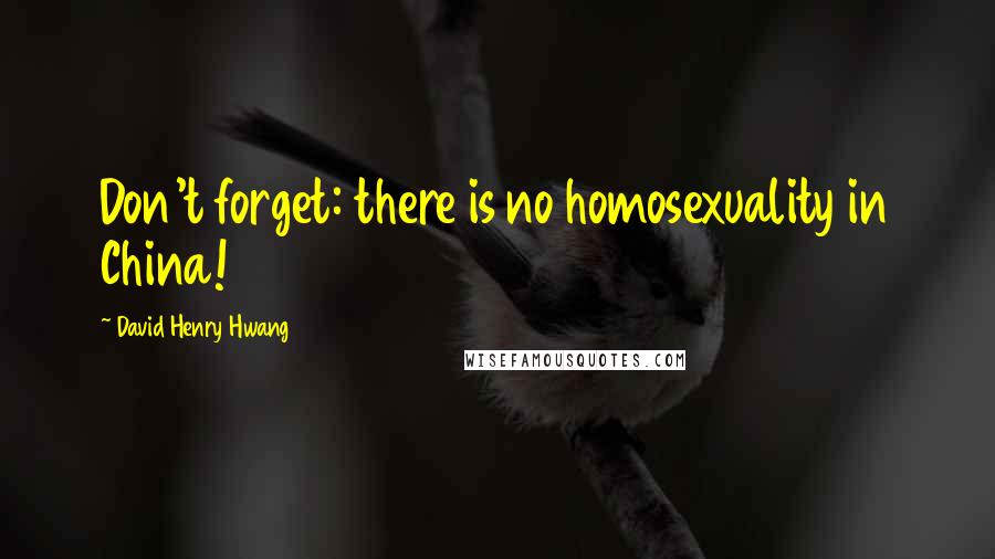 David Henry Hwang Quotes: Don't forget: there is no homosexuality in China!