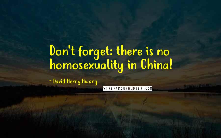 David Henry Hwang Quotes: Don't forget: there is no homosexuality in China!