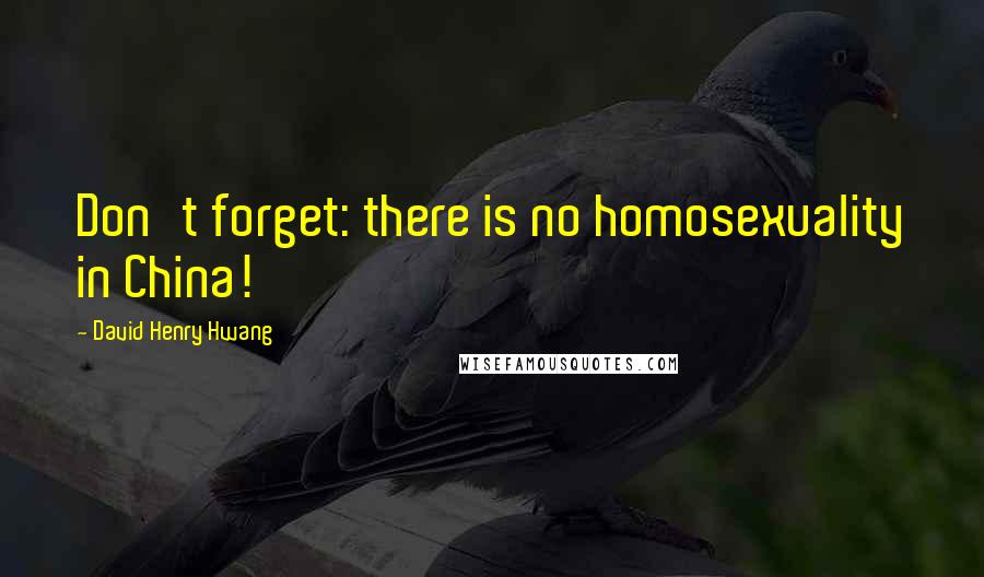 David Henry Hwang Quotes: Don't forget: there is no homosexuality in China!