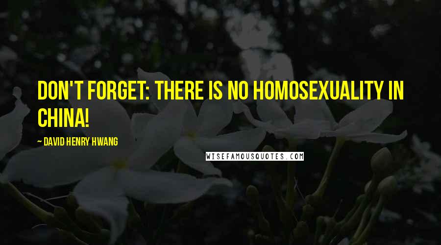 David Henry Hwang Quotes: Don't forget: there is no homosexuality in China!