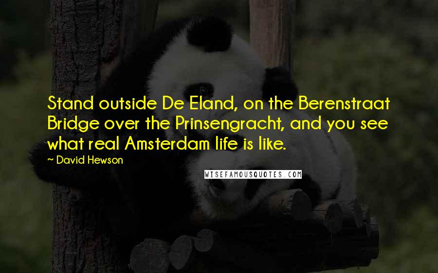 David Hewson Quotes: Stand outside De Eland, on the Berenstraat Bridge over the Prinsengracht, and you see what real Amsterdam life is like.