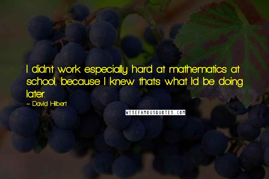 David Hilbert Quotes: I didn't work especially hard at mathematics at school, because I knew that's what I'd be doing later.