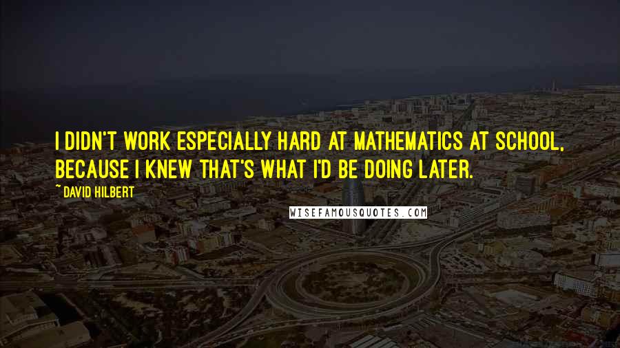 David Hilbert Quotes: I didn't work especially hard at mathematics at school, because I knew that's what I'd be doing later.