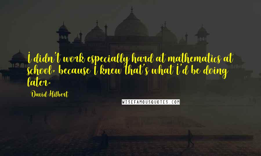 David Hilbert Quotes: I didn't work especially hard at mathematics at school, because I knew that's what I'd be doing later.