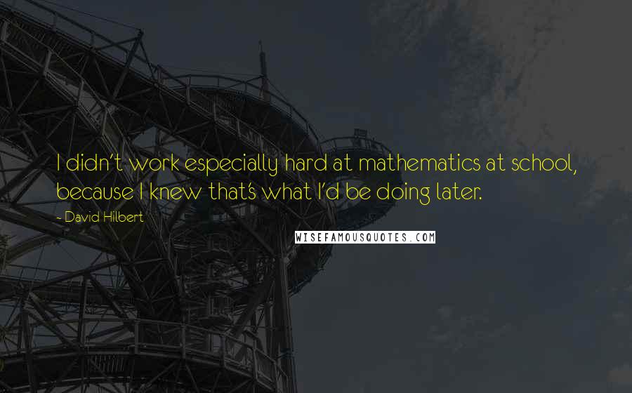 David Hilbert Quotes: I didn't work especially hard at mathematics at school, because I knew that's what I'd be doing later.