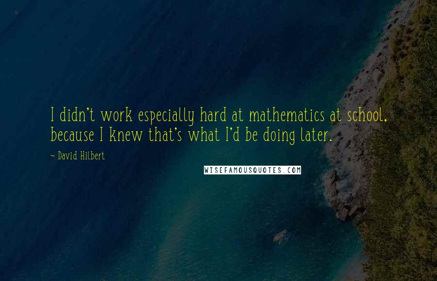 David Hilbert Quotes: I didn't work especially hard at mathematics at school, because I knew that's what I'd be doing later.