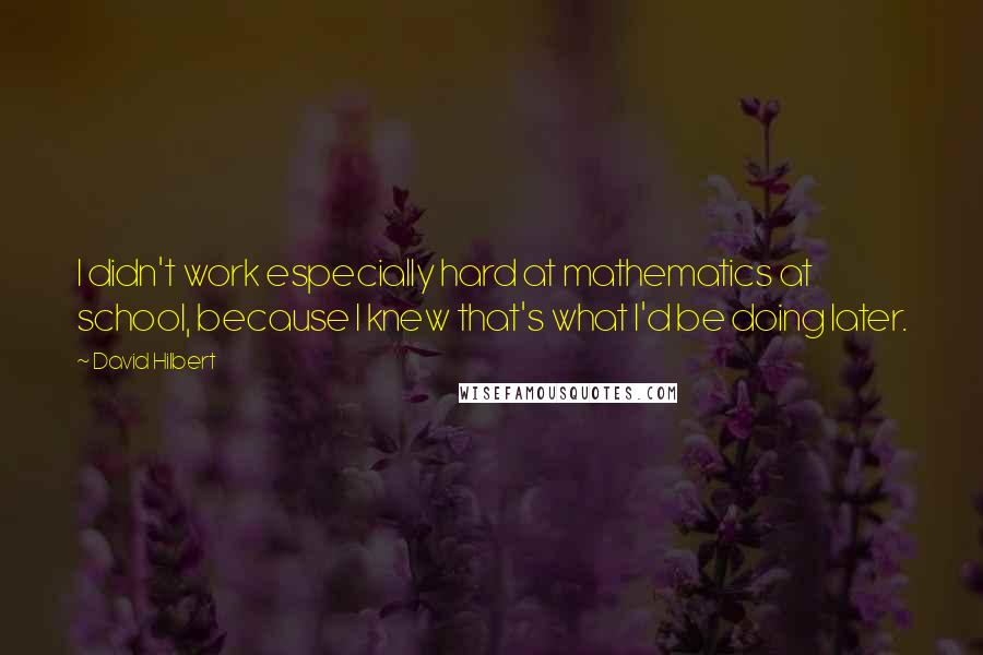 David Hilbert Quotes: I didn't work especially hard at mathematics at school, because I knew that's what I'd be doing later.