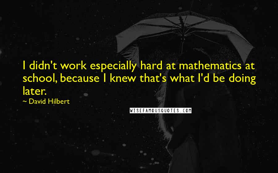 David Hilbert Quotes: I didn't work especially hard at mathematics at school, because I knew that's what I'd be doing later.