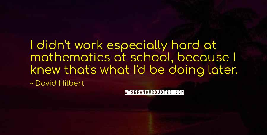 David Hilbert Quotes: I didn't work especially hard at mathematics at school, because I knew that's what I'd be doing later.