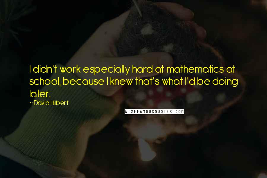 David Hilbert Quotes: I didn't work especially hard at mathematics at school, because I knew that's what I'd be doing later.