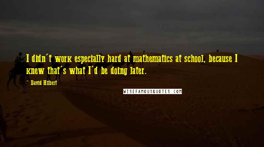 David Hilbert Quotes: I didn't work especially hard at mathematics at school, because I knew that's what I'd be doing later.