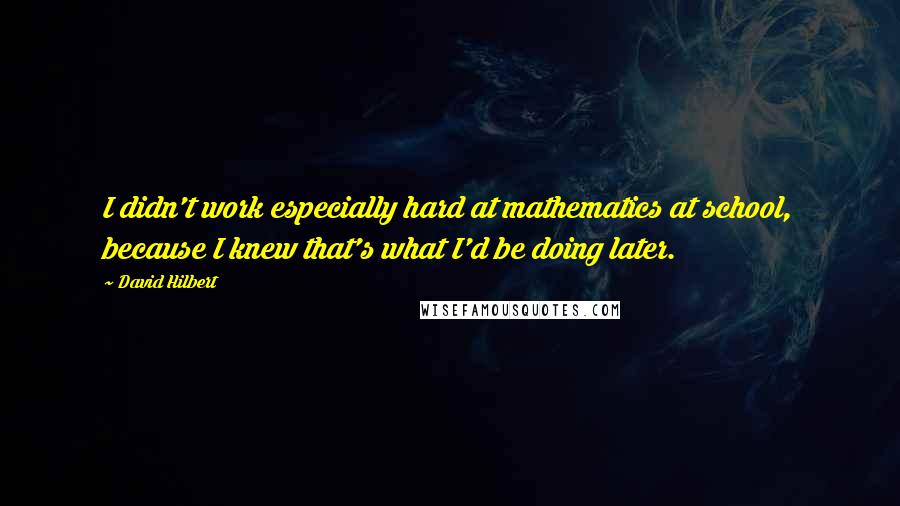 David Hilbert Quotes: I didn't work especially hard at mathematics at school, because I knew that's what I'd be doing later.