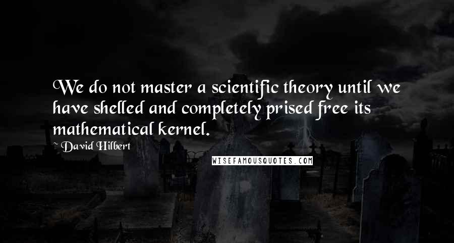 David Hilbert Quotes: We do not master a scientific theory until we have shelled and completely prised free its mathematical kernel.