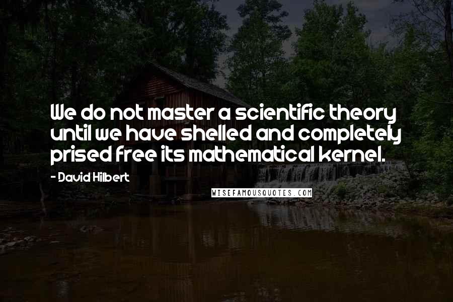 David Hilbert Quotes: We do not master a scientific theory until we have shelled and completely prised free its mathematical kernel.