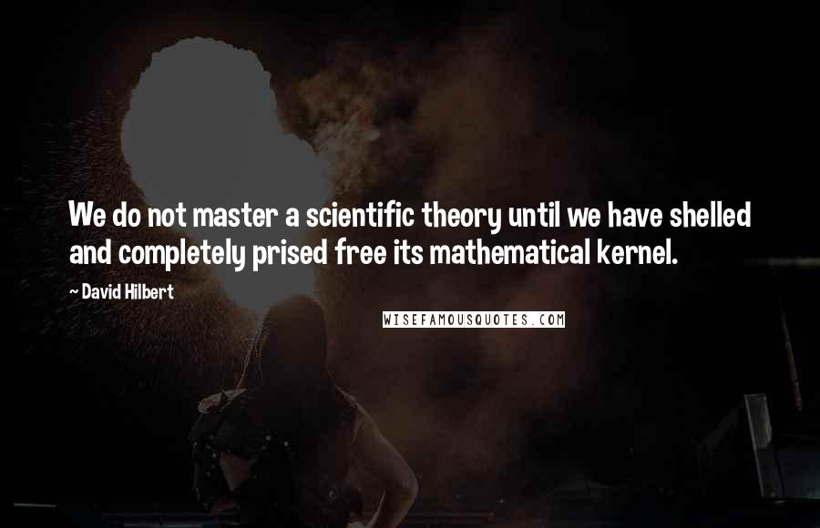 David Hilbert Quotes: We do not master a scientific theory until we have shelled and completely prised free its mathematical kernel.