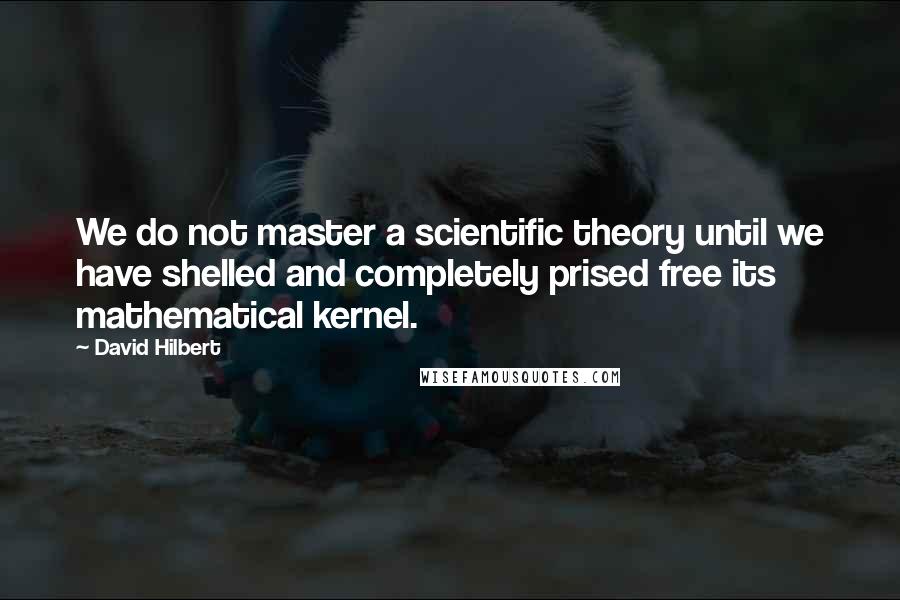 David Hilbert Quotes: We do not master a scientific theory until we have shelled and completely prised free its mathematical kernel.