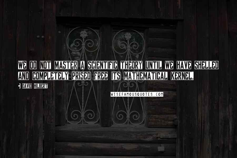 David Hilbert Quotes: We do not master a scientific theory until we have shelled and completely prised free its mathematical kernel.