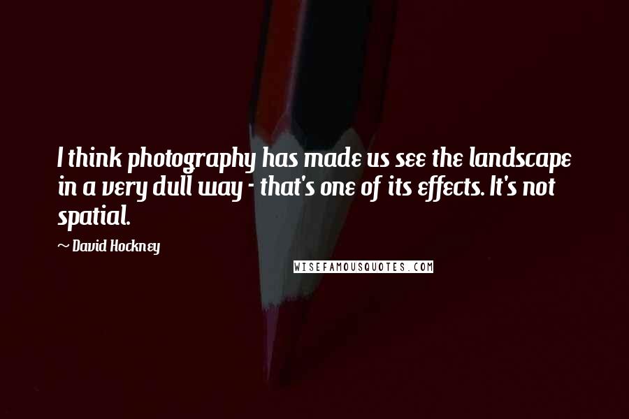 David Hockney Quotes: I think photography has made us see the landscape in a very dull way - that's one of its effects. It's not spatial.