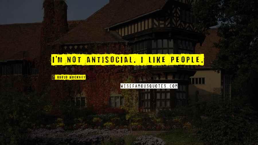 David Hockney Quotes: I'm not antisocial. I like people.