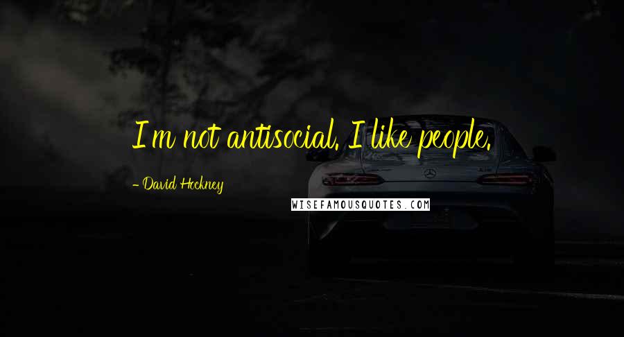 David Hockney Quotes: I'm not antisocial. I like people.
