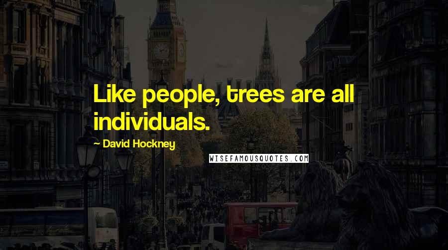 David Hockney Quotes: Like people, trees are all individuals.